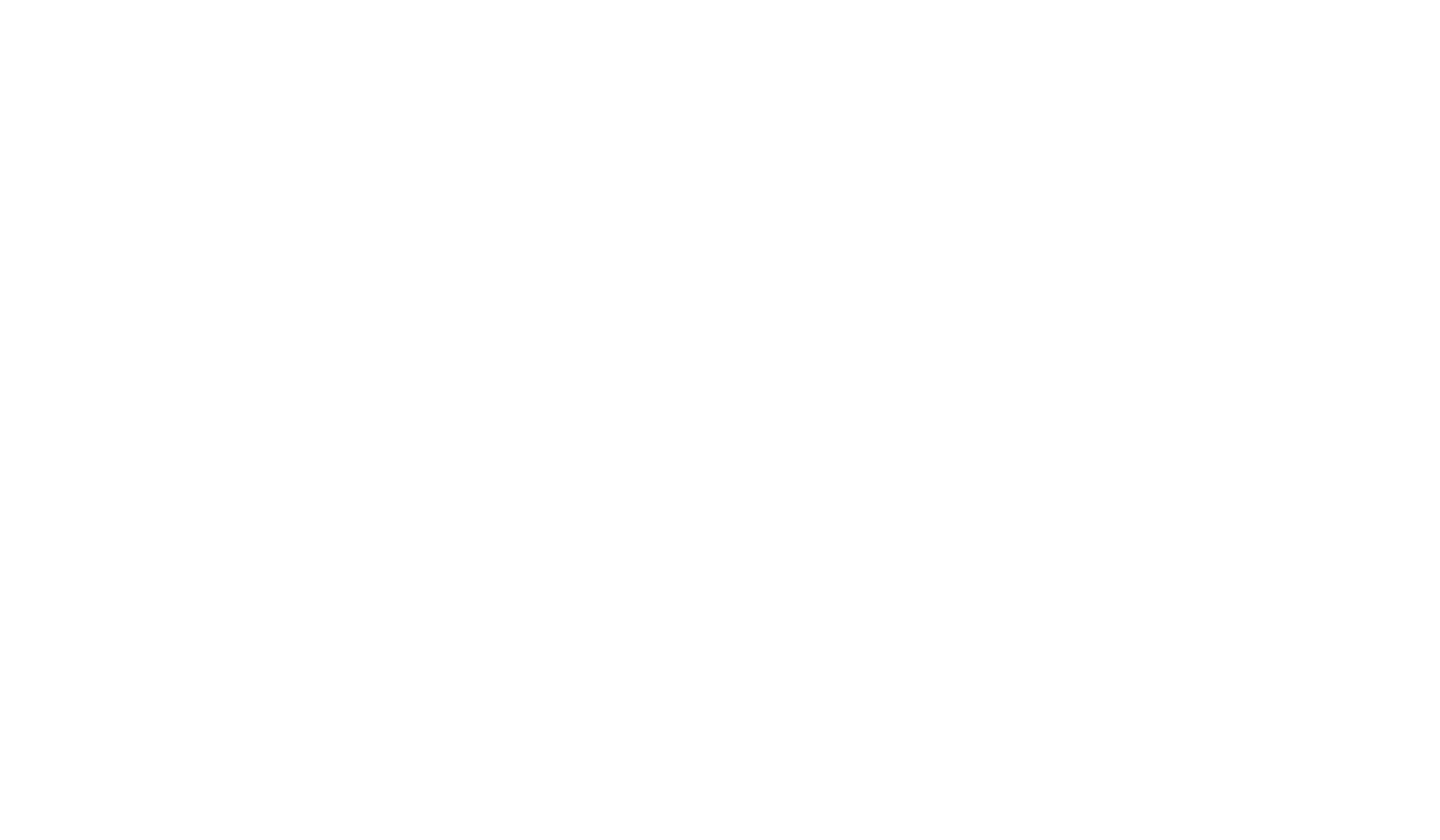 light logo